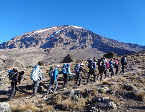 7 Days Kilimanjaro Climb Umbwe Route